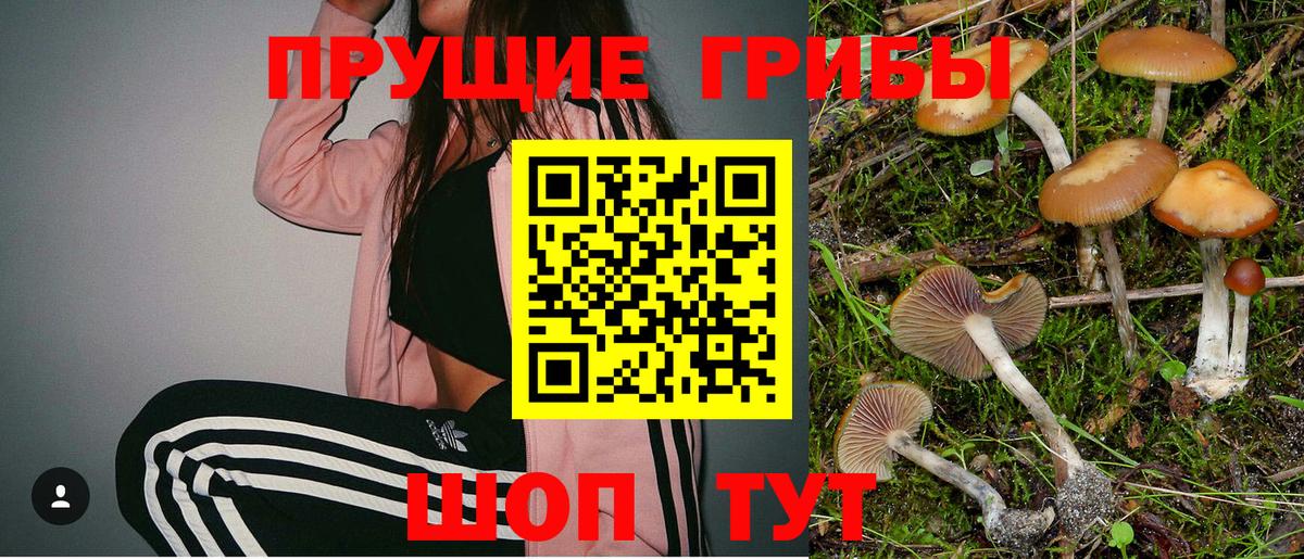 Галлюциногенные грибы Cubensis Чехов