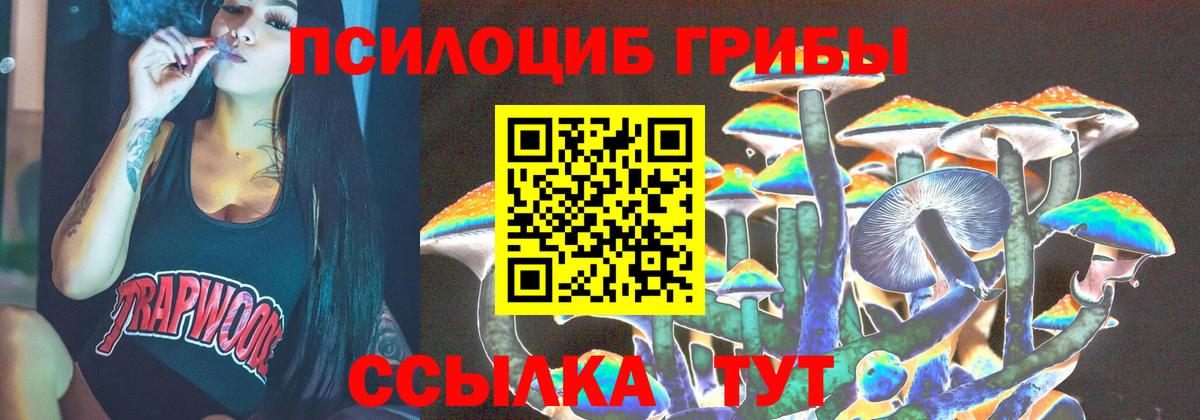Чехов  Псилоцибиновые грибы прущие грибы  Псилоцибиновые грибы Psilocybine cubensis  Вход с VPN 